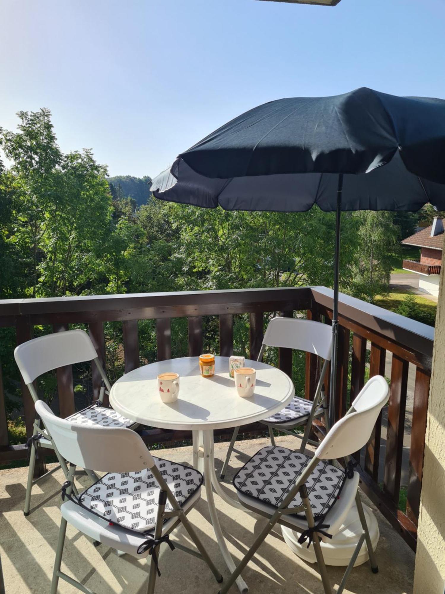 Charmant T2 De Montagne A La Station Des Rousses Avec Balcon Et Garage Les Rousses Zewnętrze zdjęcie